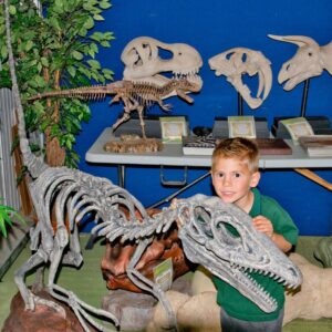 ZOO ACADEMY: RINGO'S EXPLORERS