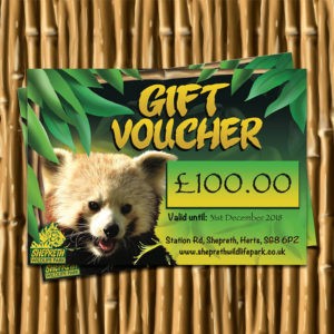 £100 Gift Voucher