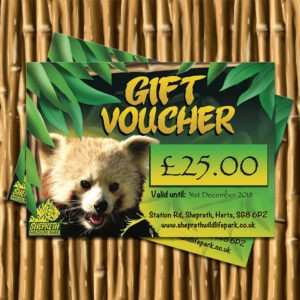 £25 Gift Voucher