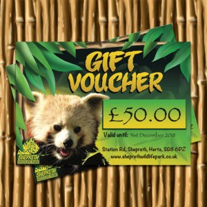 £50 Gift Voucher