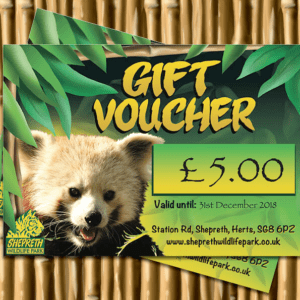 Gift Vouchers