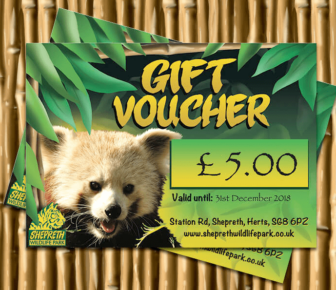 Gift Voucher - Set your amount