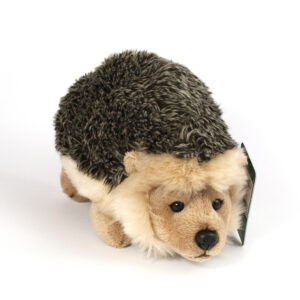 Cuddly hedgehog