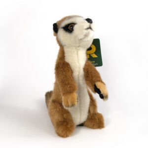 Cuddly meerkat