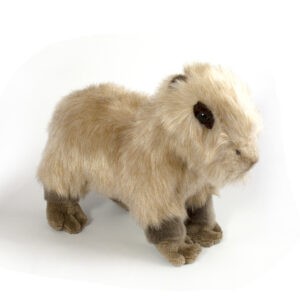 Cuddly CAPYBARA