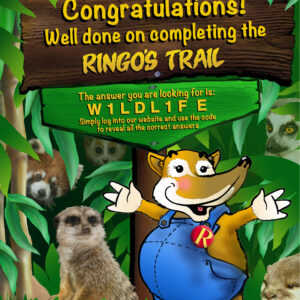 Ringo's Trail Answers