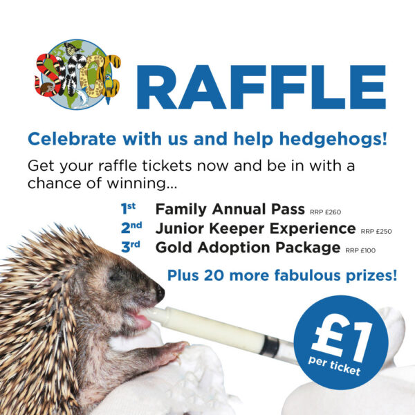 Swan Ranch Raffle SWCC 2026 RAFFLE - Shepreth Wildlife Park