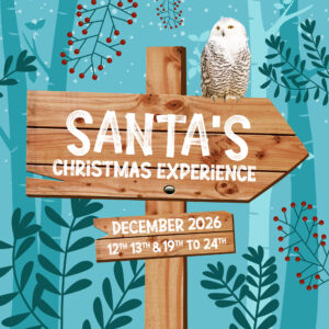 SANTA CHRISTMAS EXPERIENCE